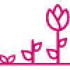 icon-Lebensphasen